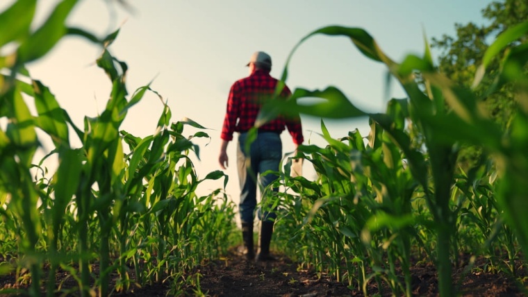 From the field to the global market: how our translations strengthen Brazilian agribusiness
